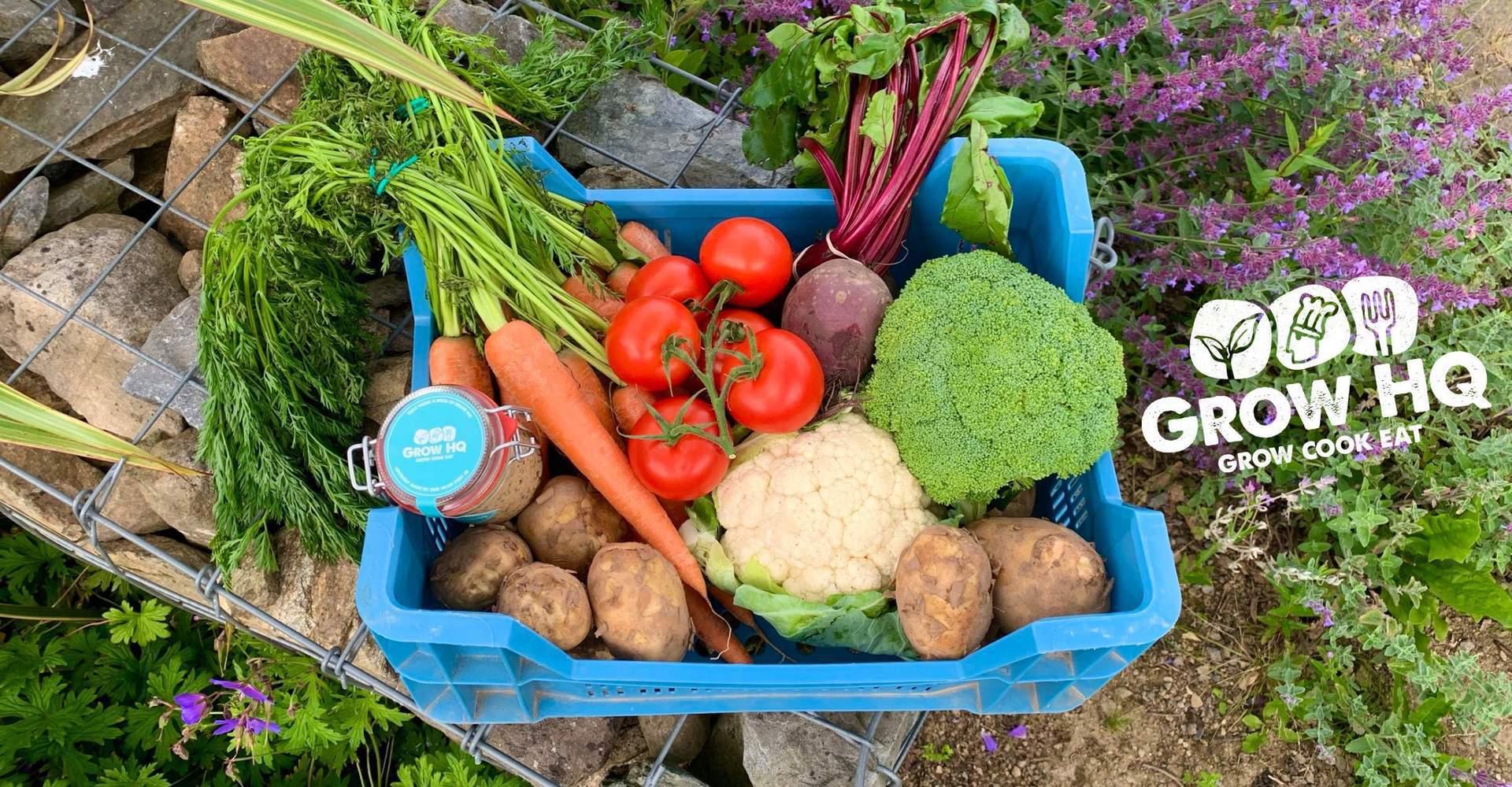 Weekly veg boxes from GROW HQ 