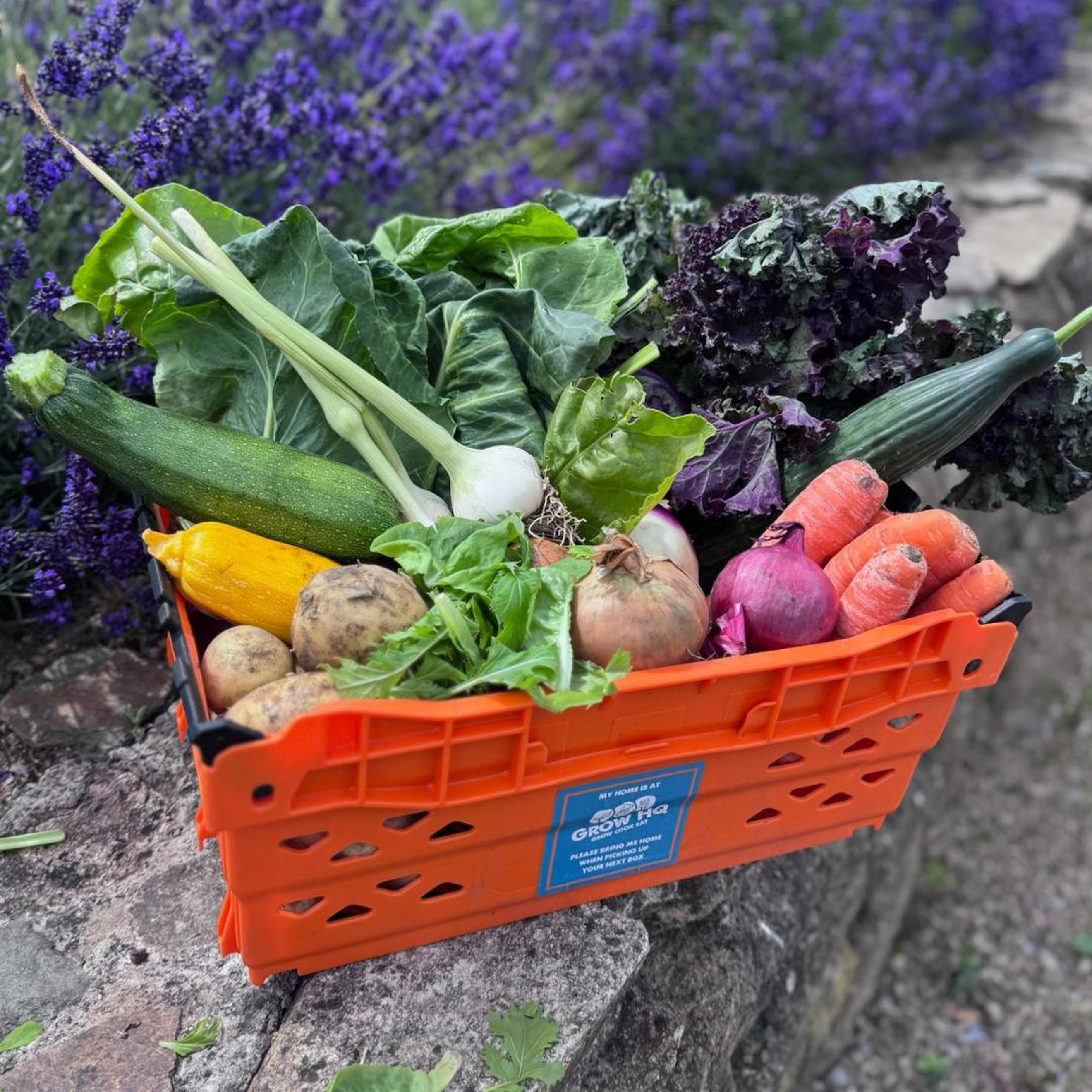 GIY Veg Box