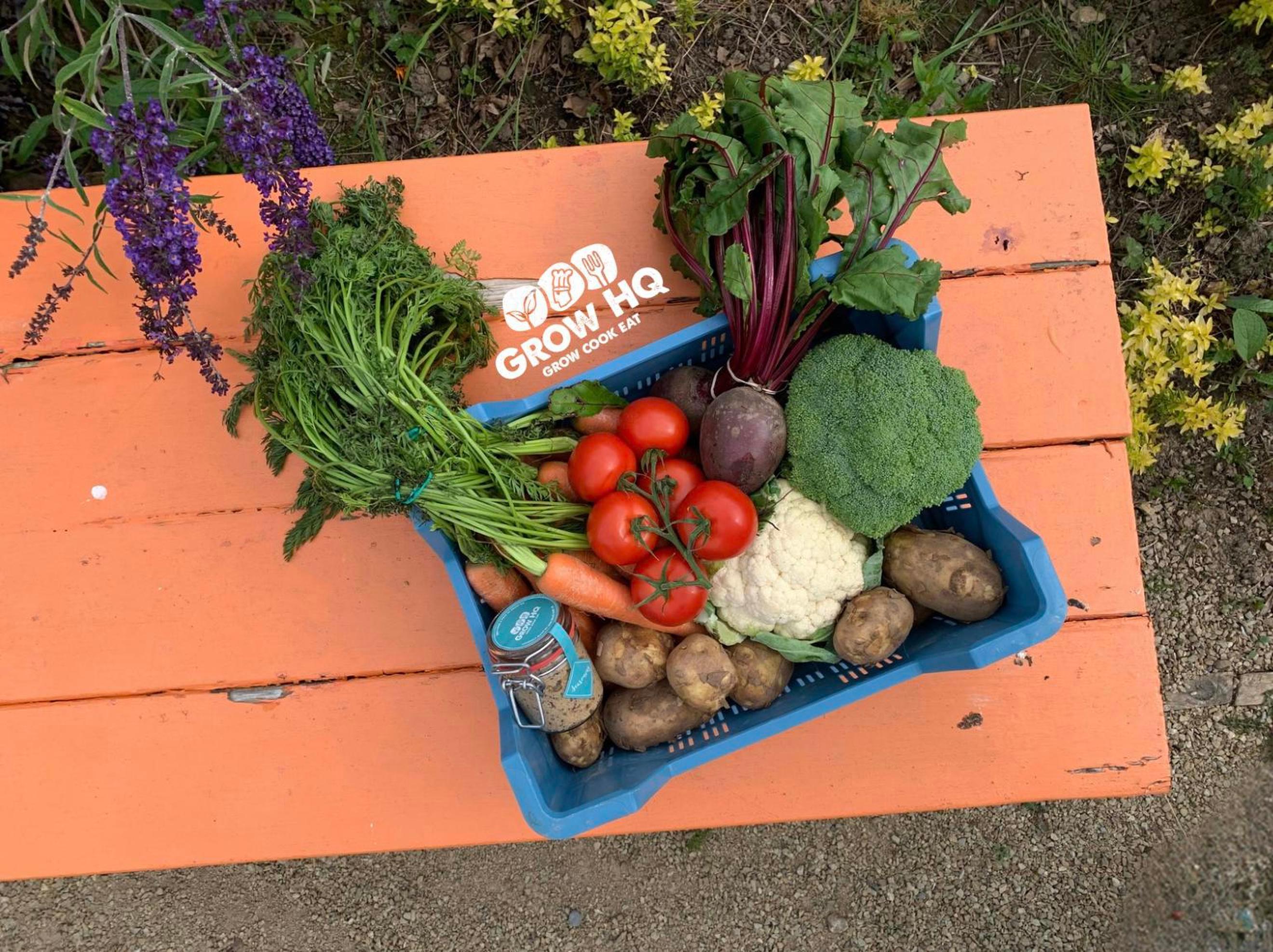 GROW HQ Veg Box