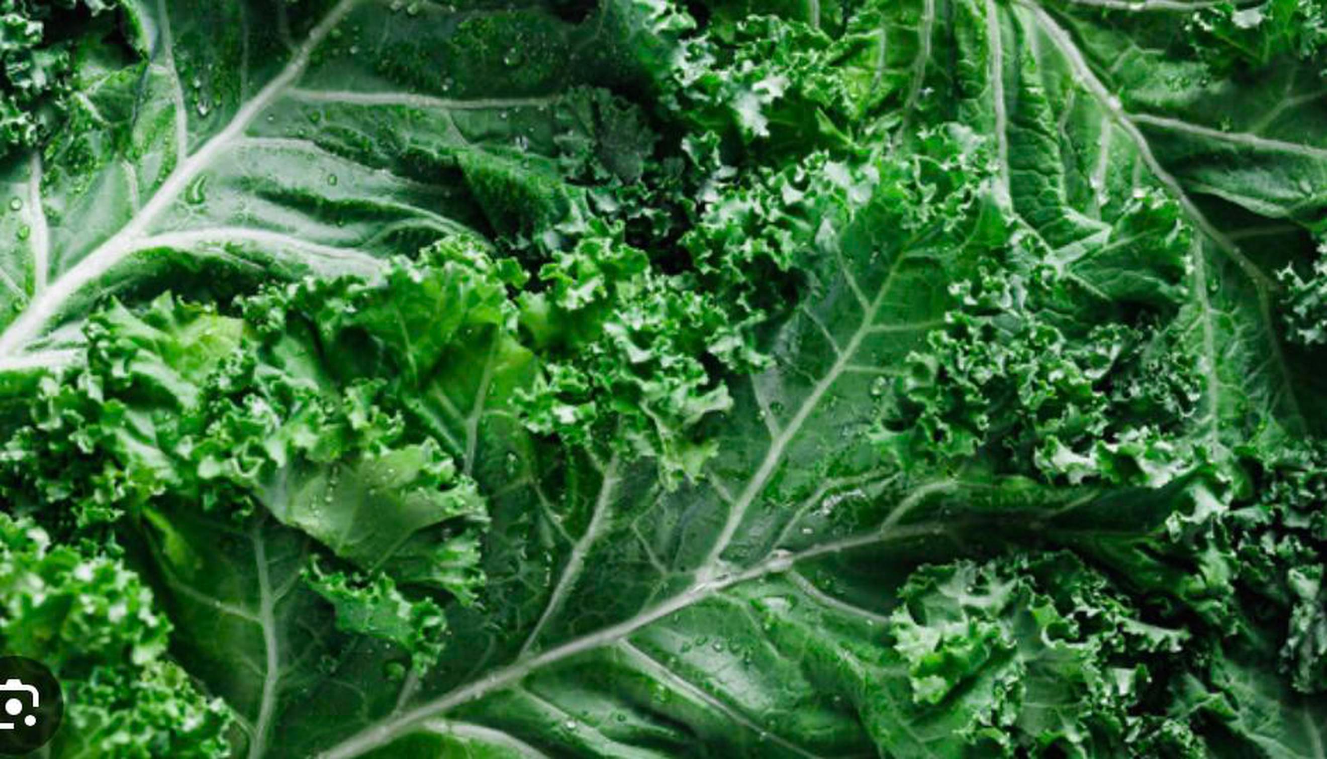 Juicing Box
