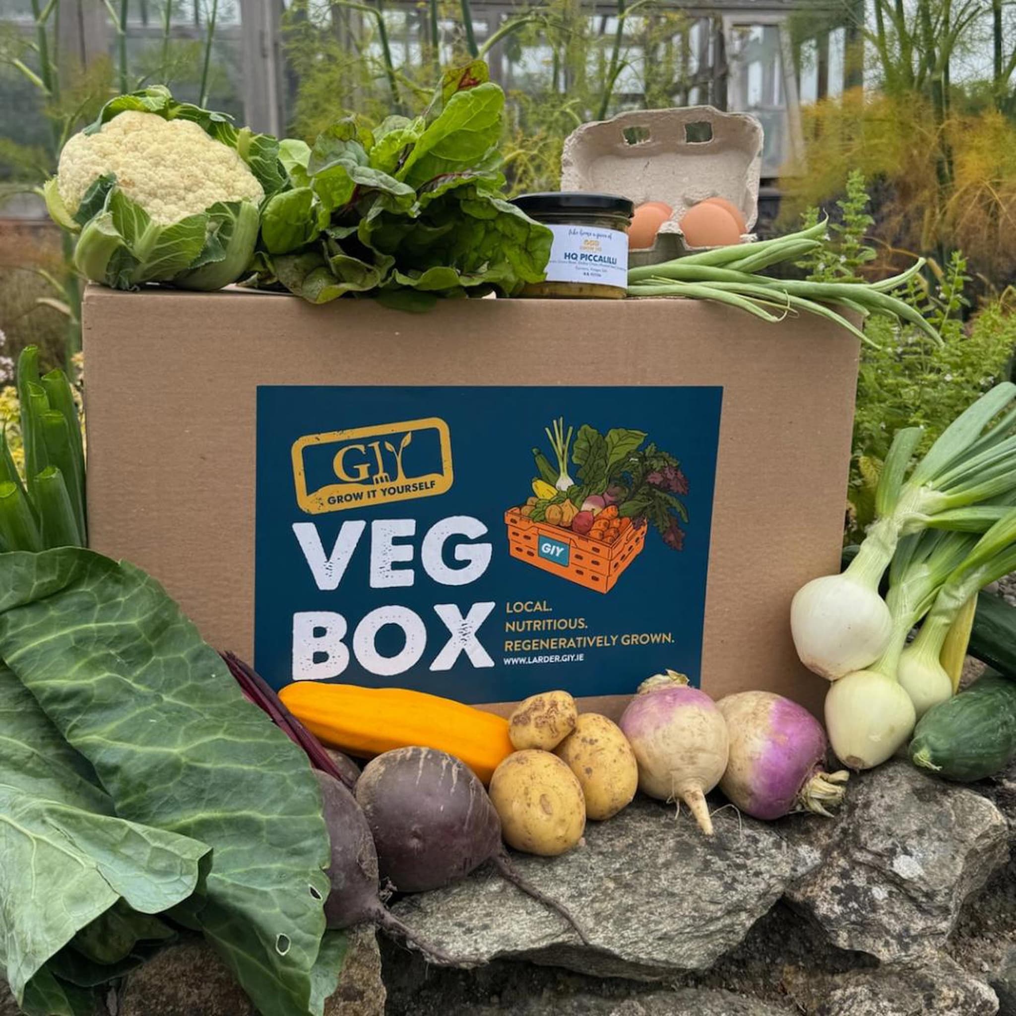 GIY Farm Box - Available for collection only